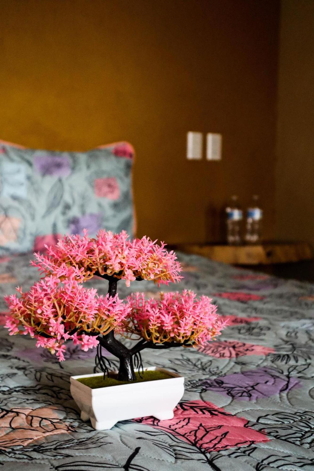 Hotel Playa Sayulita Exteriér fotografie